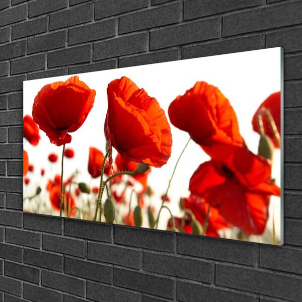 Obraz na skle Tulipány kvety 100x50 cm 2 Prívesky