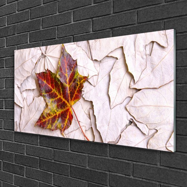 Obraz na skle Listy rastlina 100x50 cm 2 Prívesky