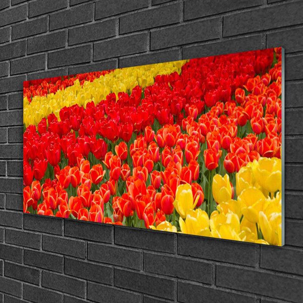 Obraz na skle Tulipány kvety 100x50 cm 2 Prívesky
