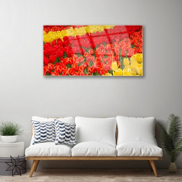 Obraz na skle Tulipány kvety 100x50 cm 2 Prívesky