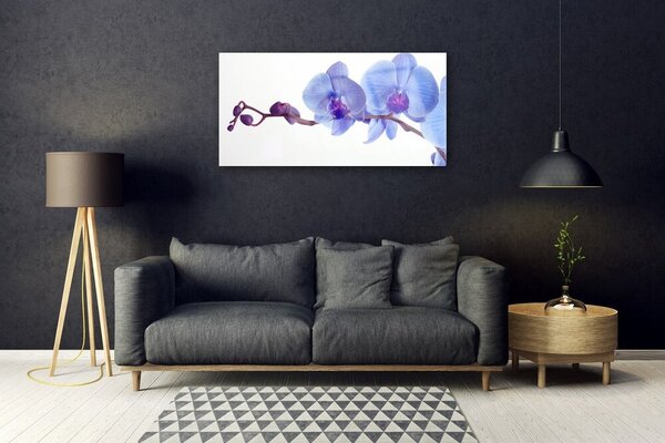 Obraz na skle Kvety rastlina 100x50 cm 2 Prívesky