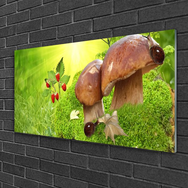 Obraz na skle Huby divoké jahody 100x50 cm 2 Prívesky