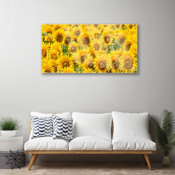 Obraz na skle Slunecznice rastlina 100x50 cm 2 Prívesky