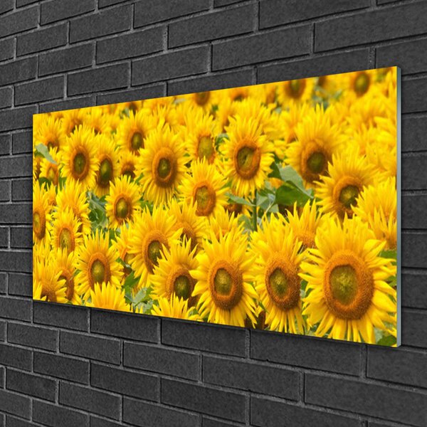 Obraz na skle Slunecznice rastlina 100x50 cm 2 Prívesky