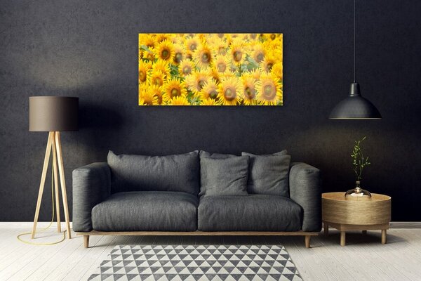 Obraz na skle Slunecznice rastlina 100x50 cm 2 Prívesky