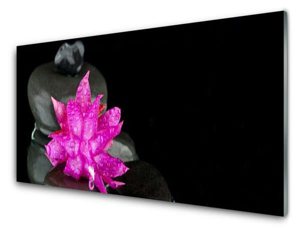 Nástenný panel  Kvet kamene rastlina 125x50 cm