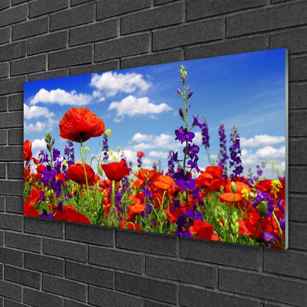 Obraz na skle Tulipány rastlina 100x50 cm 2 Prívesky