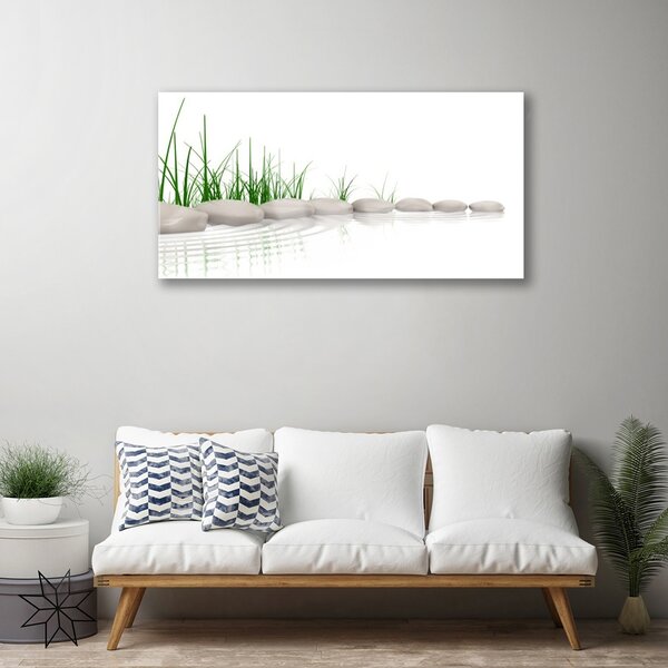 Obraz na skle Kamene tráva umenie 100x50 cm 2 Prívesky