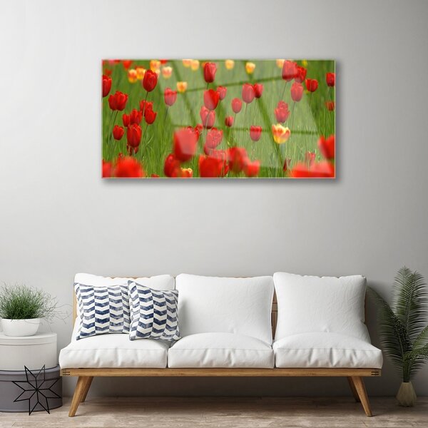 Obraz na skle Tulipány rastlina 100x50 cm 2 Prívesky