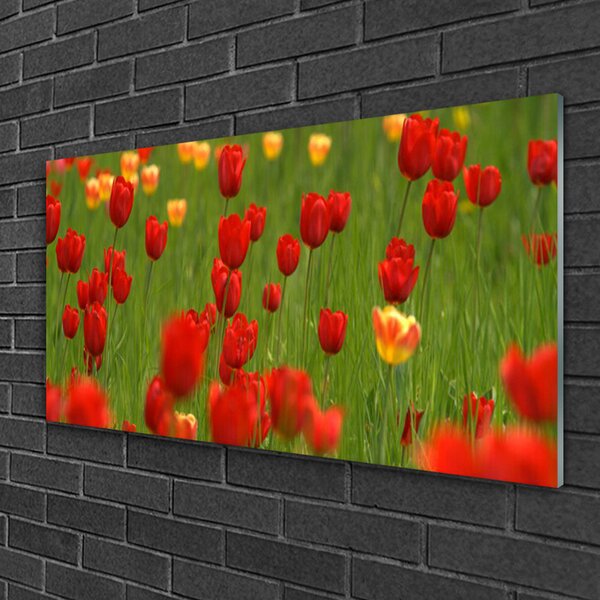 Obraz na skle Tulipány rastlina 100x50 cm 2 Prívesky