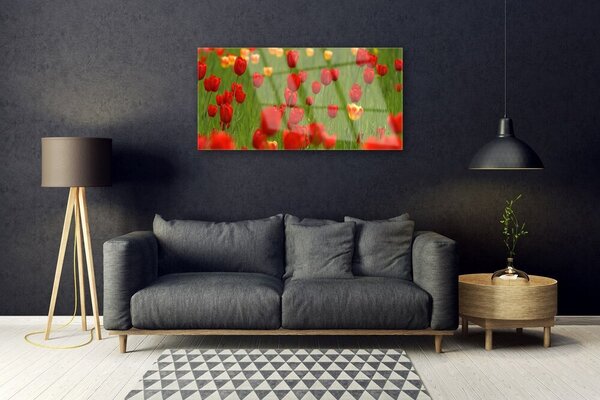 Obraz na skle Tulipány rastlina 100x50 cm 2 Prívesky
