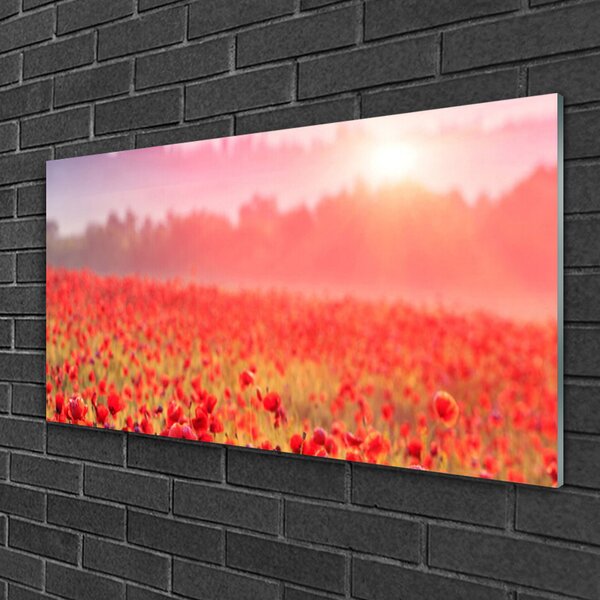 Obraz na skle Lúka kvety príroda 100x50 cm 2 Prívesky