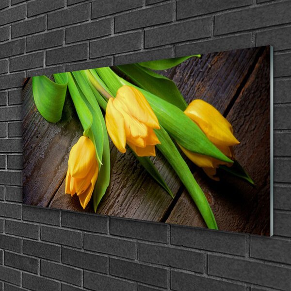 Obraz na skle Tulipány kvety 100x50 cm 2 Prívesky