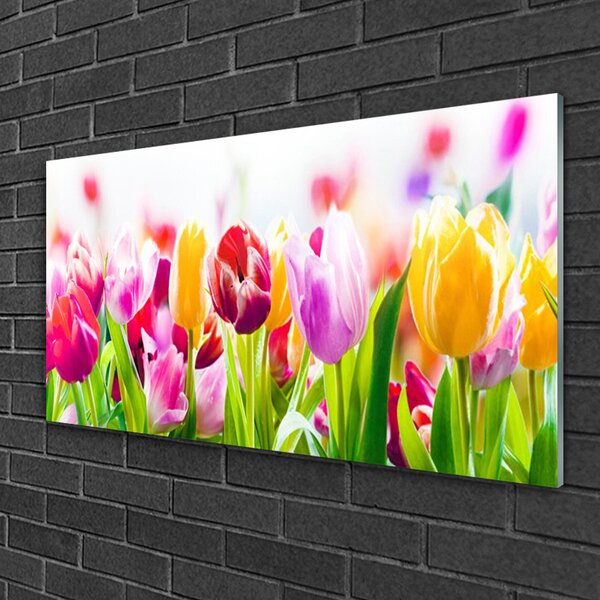 Obraz na skle Tulipány kvety 100x50 cm 2 Prívesky