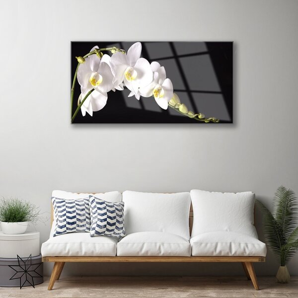 Obraz na skle Kvety rastlina 100x50 cm 2 Prívesky