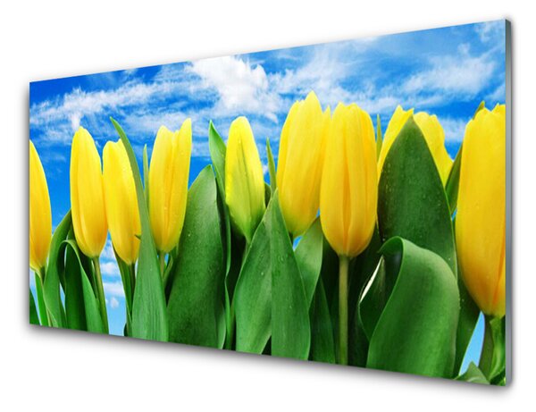 Nástenný panel  Tulipány kvety 125x50 cm