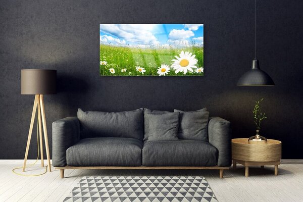 Obraz na skle Sedmokráska tráva príroda 100x50 cm 2 Prívesky