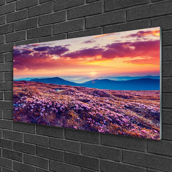 Obraz na skle Lúka hory kvety príroda 100x50 cm 4 Prívesky