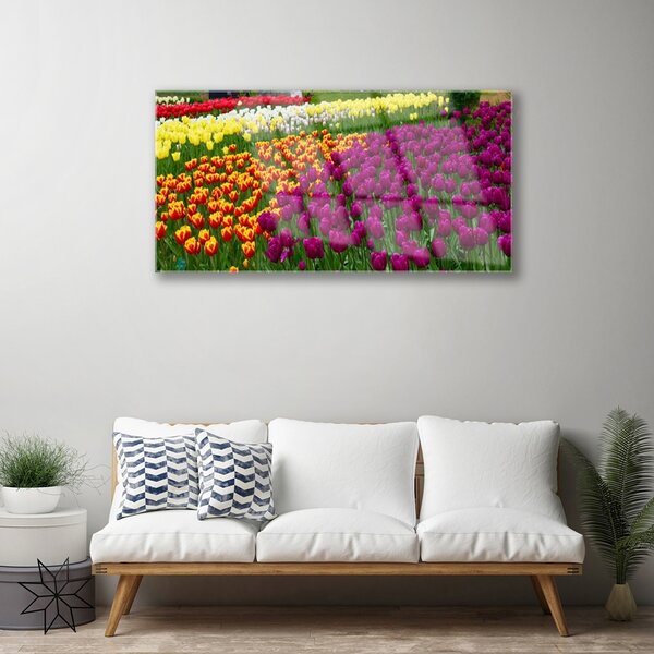 Obraz na skle Tulipány kvety 100x50 cm 2 Prívesky