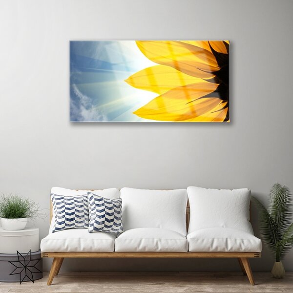 Obraz na skle Plátky rastlina 100x50 cm 2 Prívesky