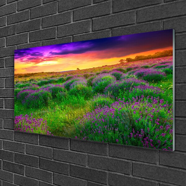 Obraz na skle Lúka príroda 100x50 cm 2 Prívesky