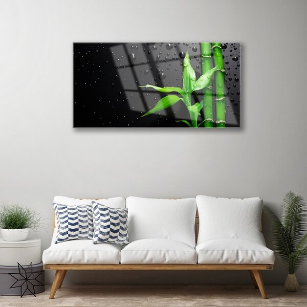 Obraz na skle Bambus listy rastlina 100x50 cm 2 Prívesky