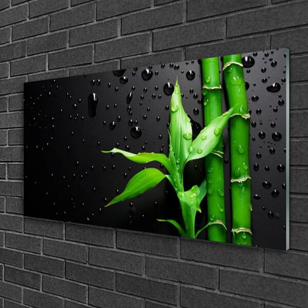 Obraz na skle Bambus listy rastlina 100x50 cm 2 Prívesky