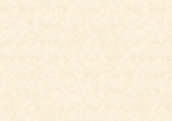 WINEO® Purline 1200 HB stone XS This is Theo PL115RHB