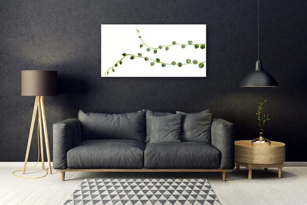 Obraz na skle Dekoratívne rastlina 100x50 cm 2 Prívesky