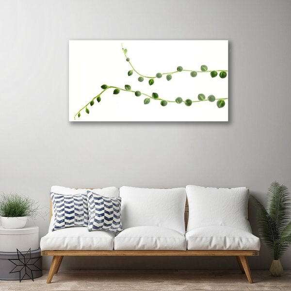 Obraz na skle Dekoratívne rastlina 100x50 cm 2 Prívesky
