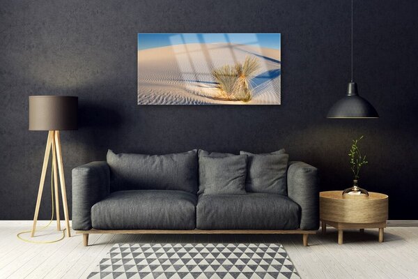 Obraz na skle Púšť krajina 100x50 cm 2 Prívesky