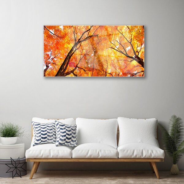 Obraz na skle Stromy príroda 100x50 cm 2 Prívesky