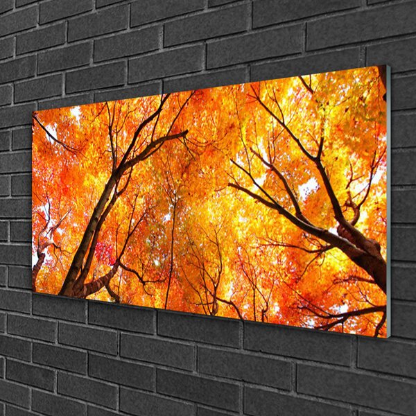 Obraz na skle Stromy príroda 100x50 cm 2 Prívesky