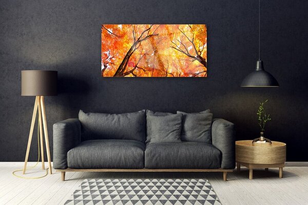 Obraz na skle Stromy príroda 100x50 cm 2 Prívesky