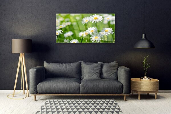 Skleneny obraz Sedmokráska kvet rastlina 100x50 cm 2 Prívesky