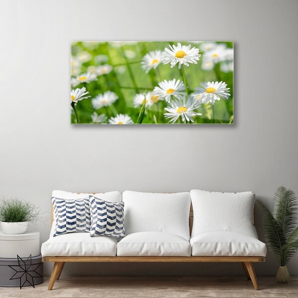 Skleneny obraz Sedmokráska kvet rastlina 100x50 cm 2 Prívesky