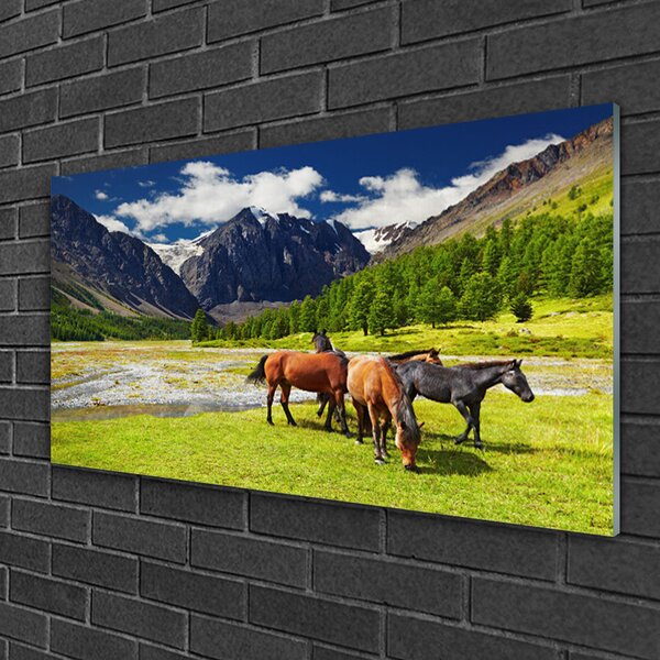 Skleneny obraz Hory stromy kone zvieratá 100x50 cm 2 Prívesky