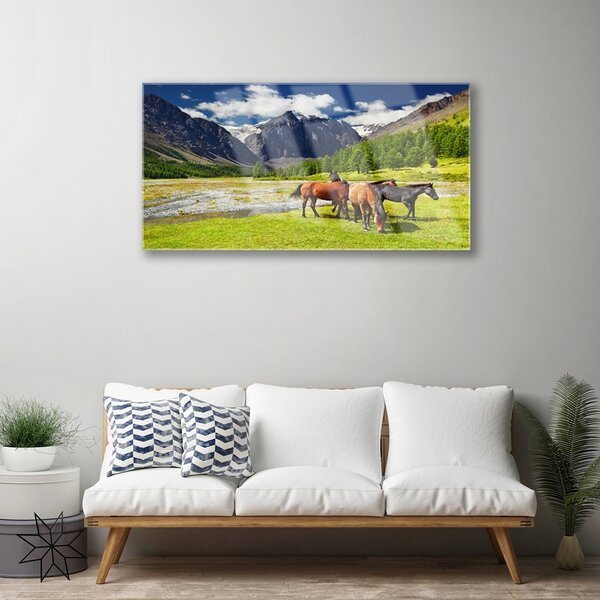 Skleneny obraz Hory stromy kone zvieratá 100x50 cm 2 Prívesky