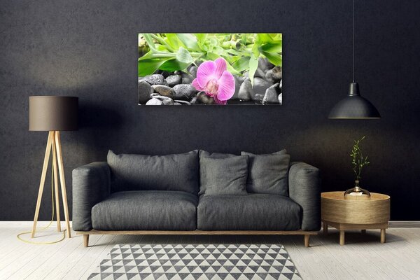 Skleneny obraz Kvety orchidea kamene zen 100x50 cm 2 Prívesky