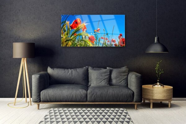 Skleneny obraz Kvety maky pole trávy 100x50 cm 2 Prívesky
