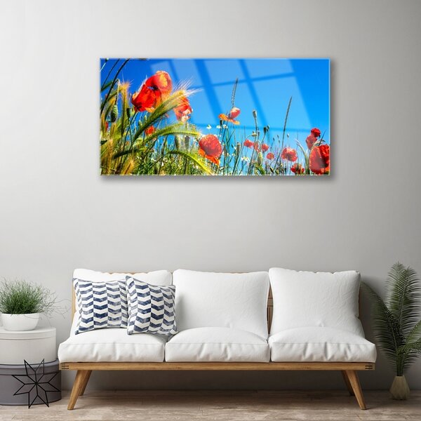 Skleneny obraz Kvety maky pole trávy 100x50 cm 2 Prívesky