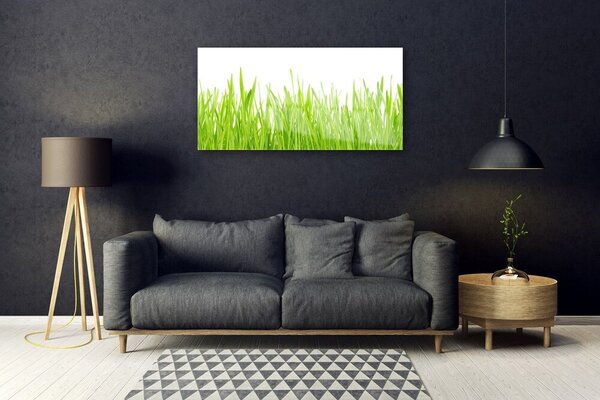 Skleneny obraz Tráva príroda rastlina 100x50 cm 2 Prívesky