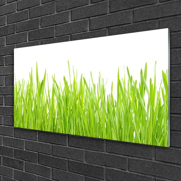Skleneny obraz Tráva príroda rastlina 100x50 cm 2 Prívesky