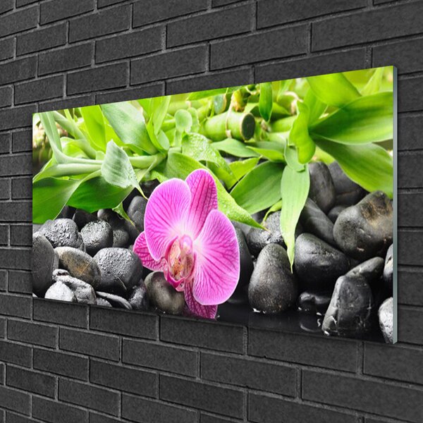 Skleneny obraz Kvety orchidea kamene zen 100x50 cm 2 Prívesky
