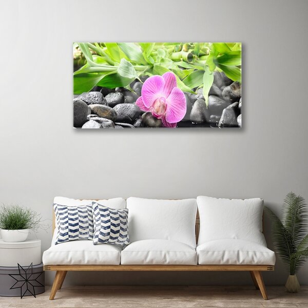 Skleneny obraz Kvety orchidea kamene zen 100x50 cm 2 Prívesky