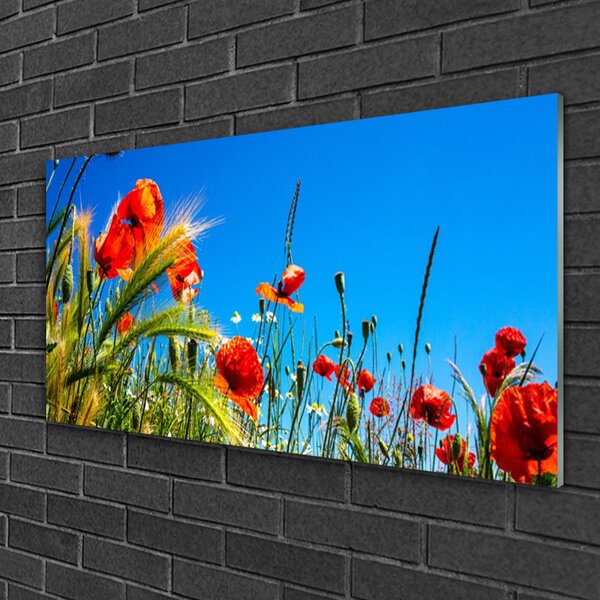 Skleneny obraz Kvety maky pole trávy 100x50 cm 2 Prívesky