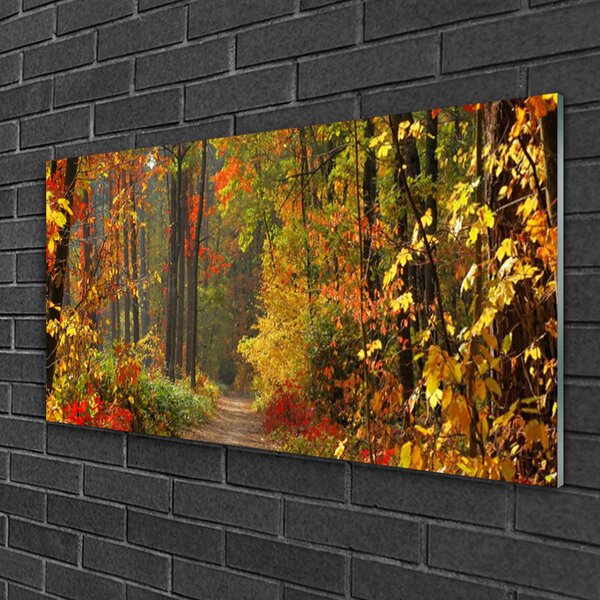 Skleneny obraz Les príroda jeseň 100x50 cm 2 Prívesky