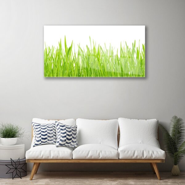 Skleneny obraz Tráva príroda rastlina 100x50 cm 2 Prívesky