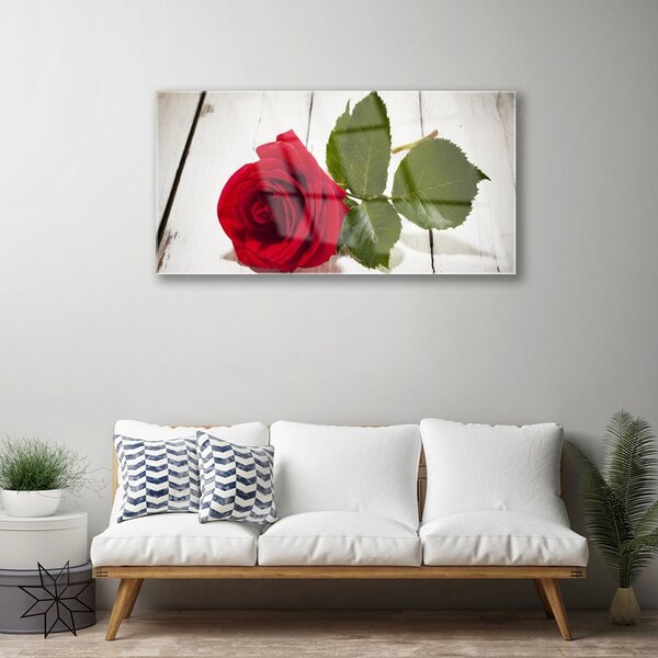 Skleneny obraz Ruže kvet rastlina 100x50 cm 2 Prívesky