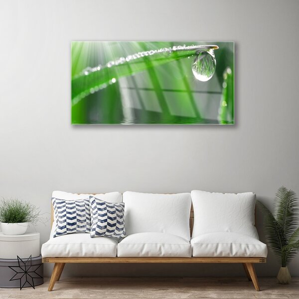 Skleneny obraz Kvapka rosa list tráva 100x50 cm 2 Prívesky